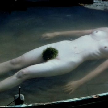 Голая Чон Су