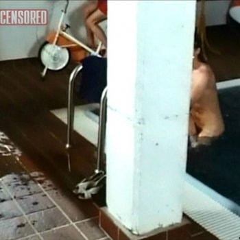 Голая Маргит Шварцер